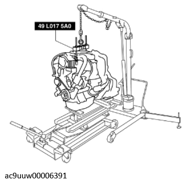 G11436610
