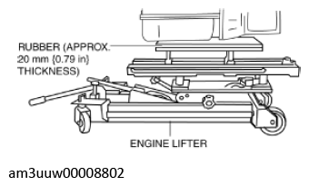 G11436691