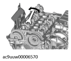 G11436730