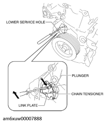 G11436733