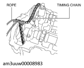 G11436741