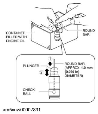 G11436748