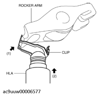 G11436750