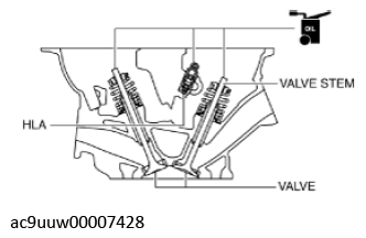G11436753