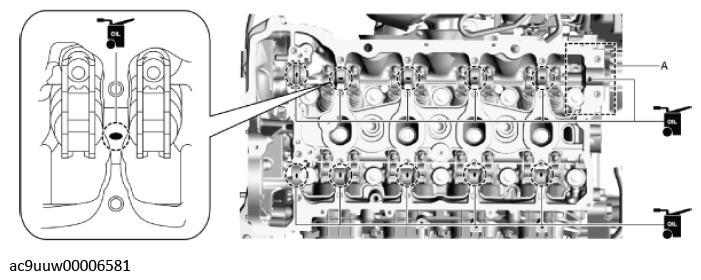 G11436754