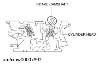 G11436755