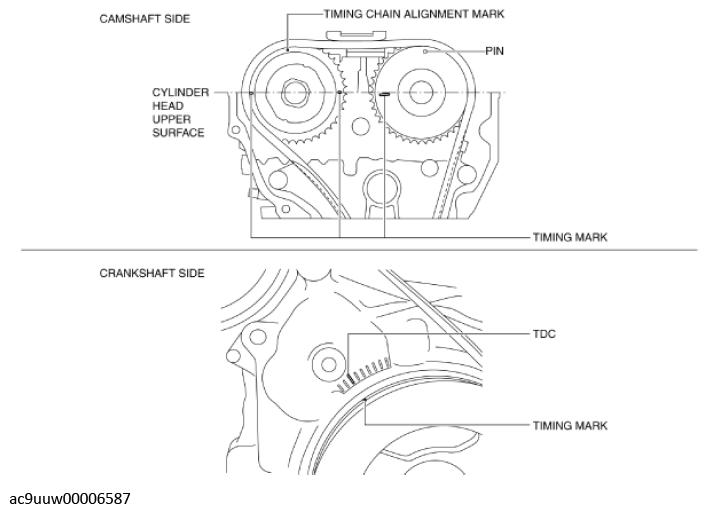 G11436764