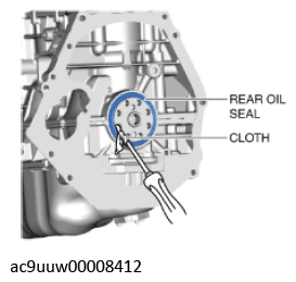 G11436781