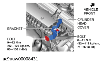 G11436794