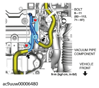 G11436798