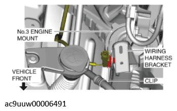 G11436865