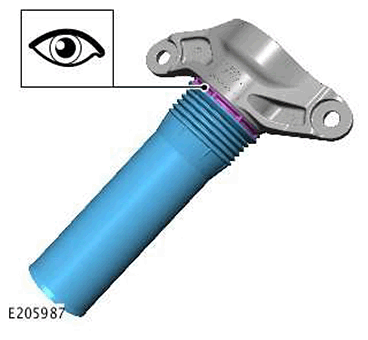 G11439388