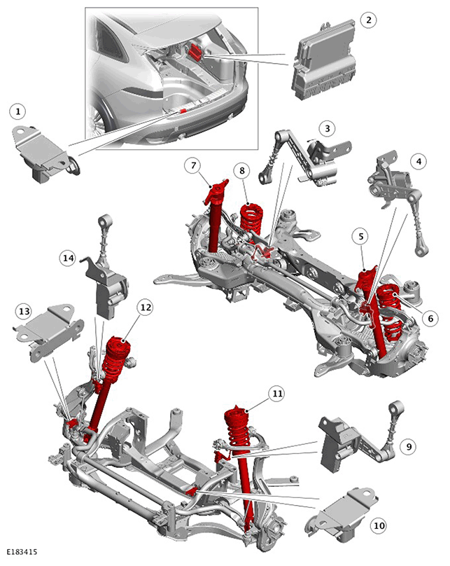 G11439483