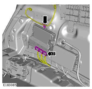 G11439495