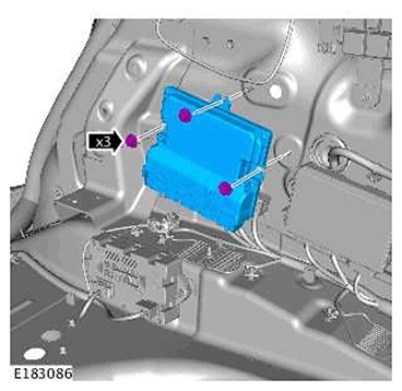 G11439496