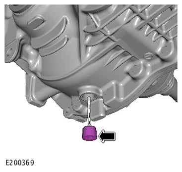 G11439596
