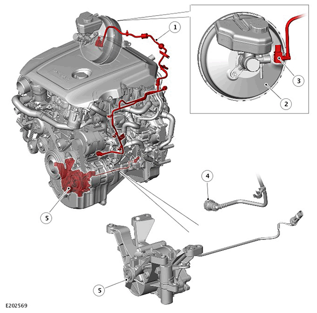 G11439952