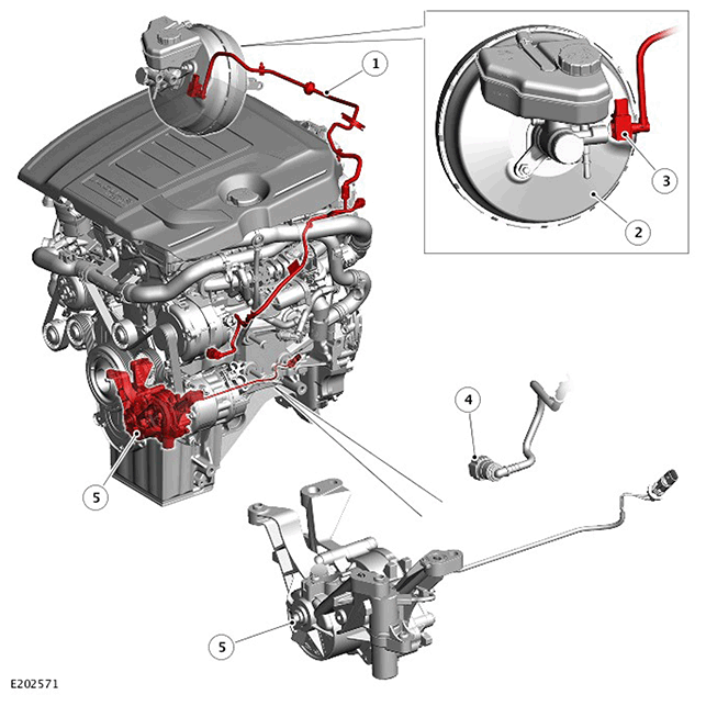 G11439953