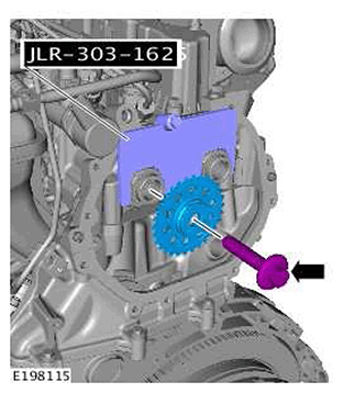 G11440382