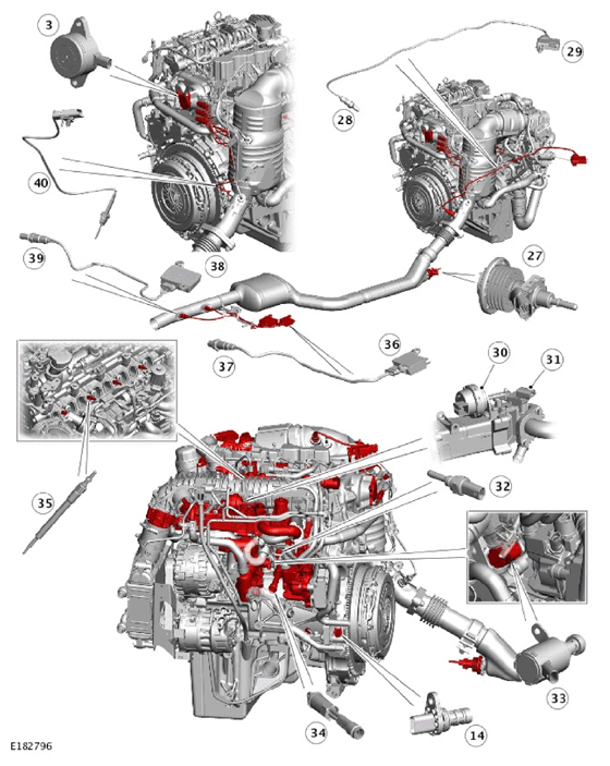 G11441567