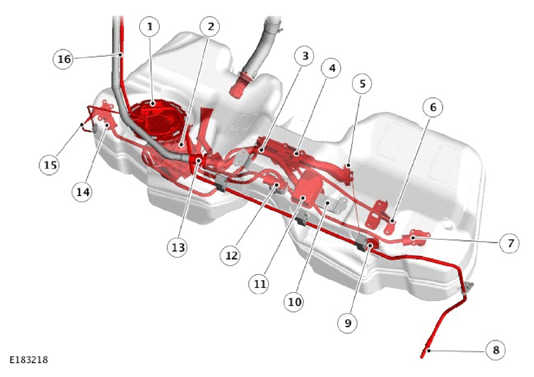 G11444018