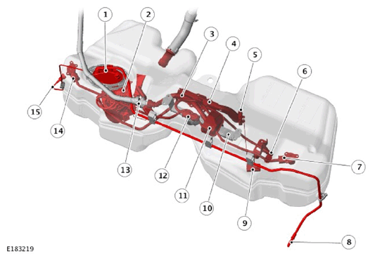 G11444019