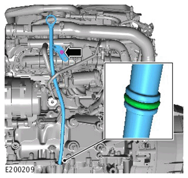 G11445208