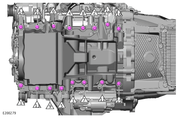G11445219
