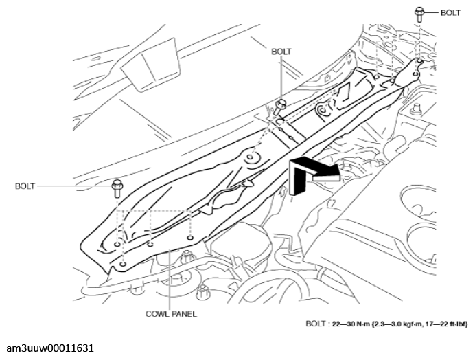 G11447528