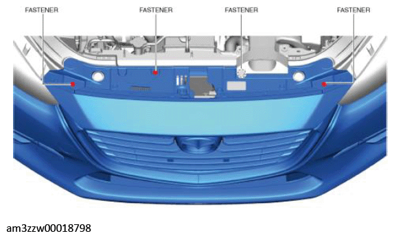 G11447538