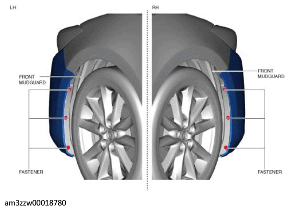 G11447555
