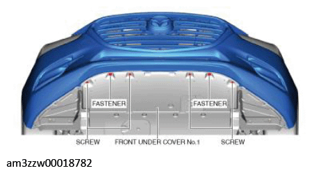 G11447557