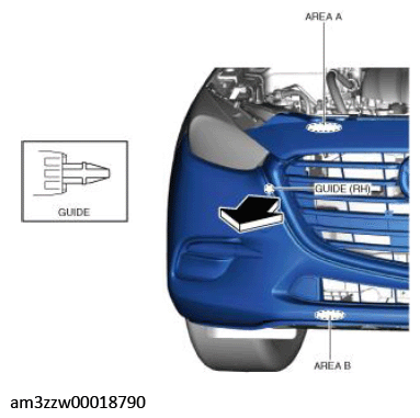 G11447565