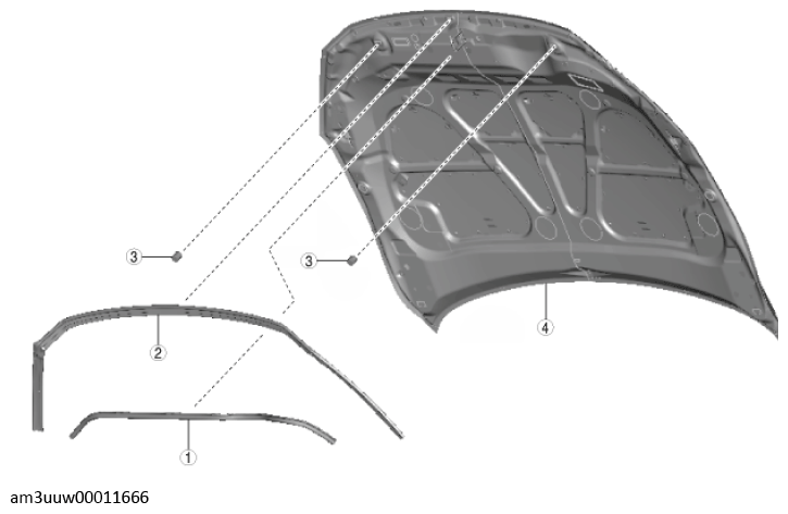G11447589