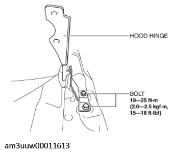 G11447591