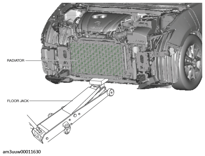 G11447616