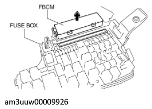 G11447634