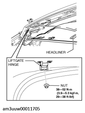 G11447662