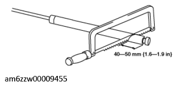 G11447684