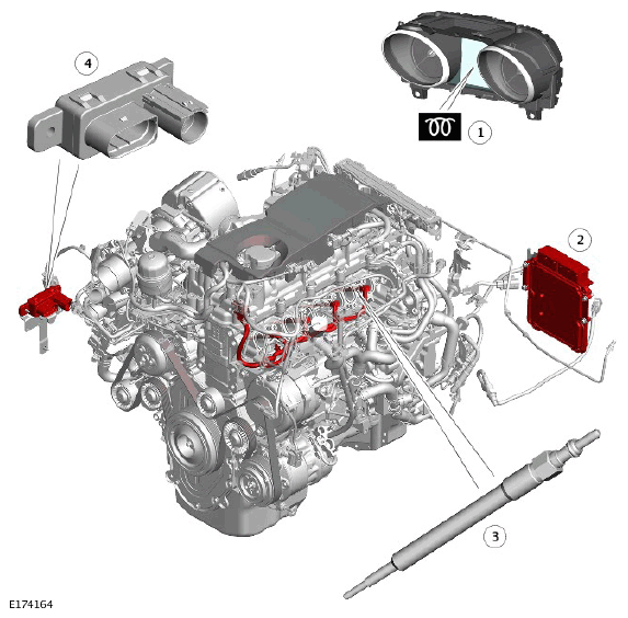 G11448431