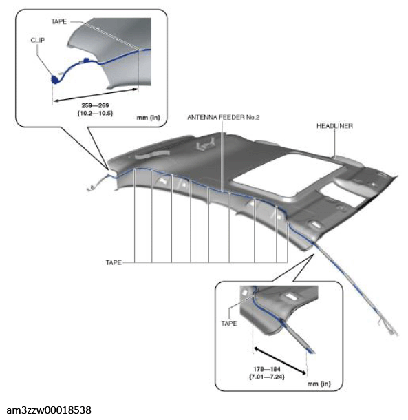 G11448721