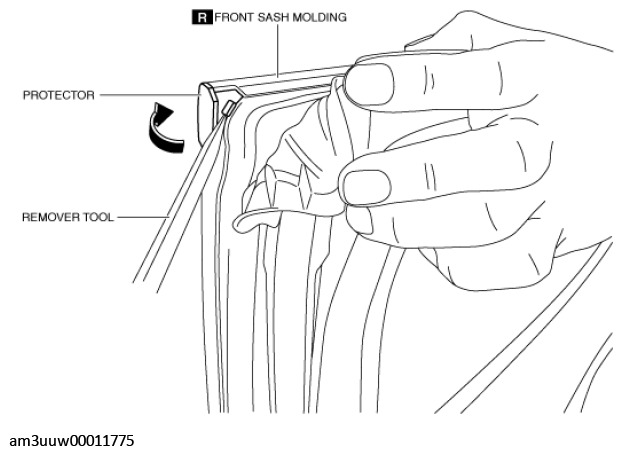 G11448865