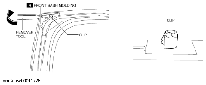 G11448866
