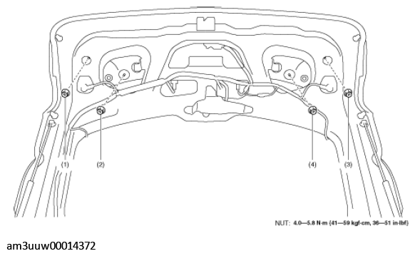 G11448876