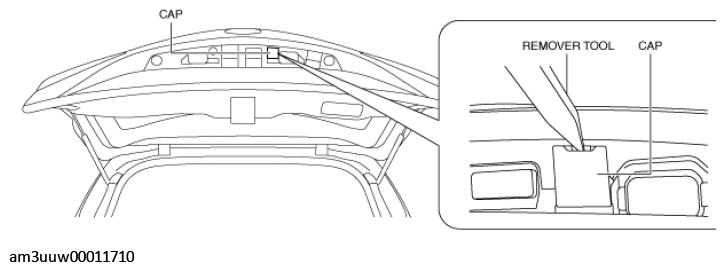G11448883