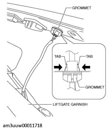 G11448892