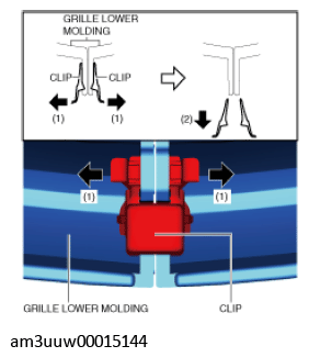 G11448907