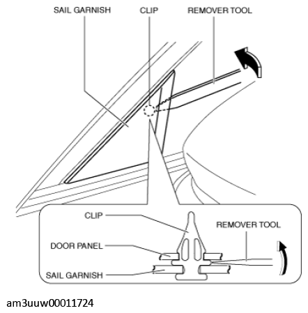 G11448956