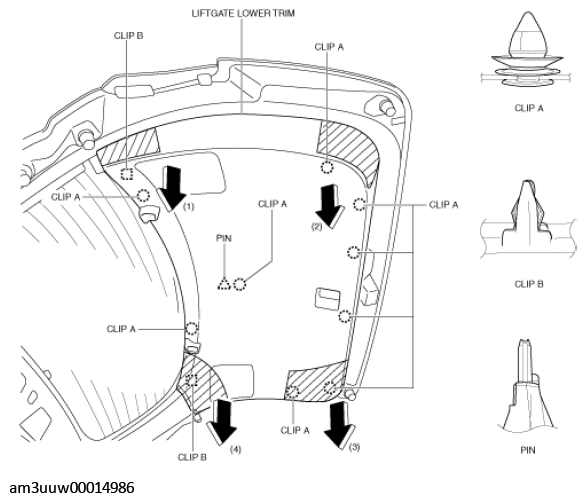 G11449296