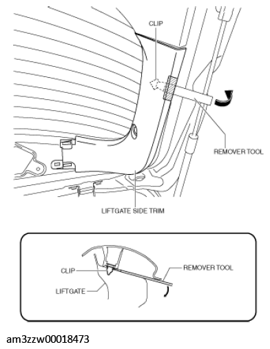 G11449301